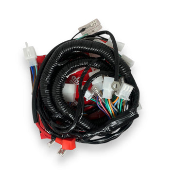 INSTALACION ELECTRICA (SISTEMA ELECTRICO) "CROWN" AK125S/SL/NKD